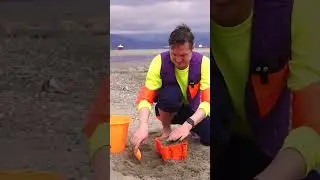 Building Sand Castles for Kids with Jimmy Dime Time 🏰🦀 - #sandcastles #kidsplay