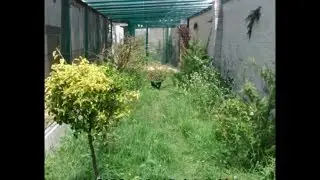 CONSTRUCCION DE UNA GRAN VOLADERA O PAJARERA , AVIARIO OSCAR GONZALO