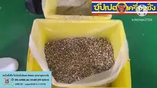 Techik Walnut Optical Color Sorter and Food X ray Inspection Machine for Bulk Product