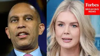Karoline Leavitt Responds To Hakeem Jeffries' Comments About Trump's Handling Of Shutdown