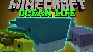 Minecraft: OCEAN LIFE (NEW OCEAN MOBS, CREATE YOUR OWN AQUARIUM!) Mod Showcase