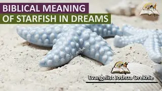 Библейское значение морской звезды во сне &mdash; Символизм морской звезды в воде