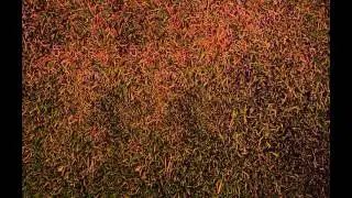 John Cage: Eight Whiskus (1984)