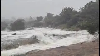 upper manair dam   Narmala  Rajanna sirisilla district,#rajannasircilla #telangana 