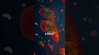 Senolytic Cells: Unlock Anti-Aging Secrets! #ZombieCells