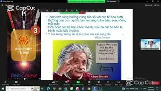 KH&Aacute;M PH&Aacute; LỢI &Iacute;CH CỦA THIẾT BỊ VẬT L&Yacute; TRỊ LIỆU ITRACARE TẦN S&Oacute;NG TERAHERTZ - AN TO&Agrave;N V&Agrave; HIỆU QUẢ