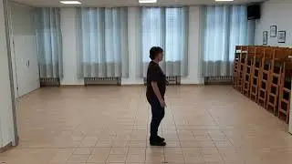 Flobi Slide Lernvideo Teach & Dance Line Dance Biene Teil 1