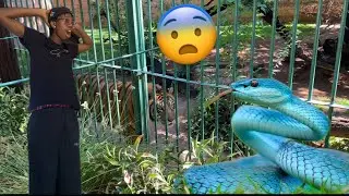 I ALMOST DIED AT THE ZOO‼️ vlog pt 2 Sa trip Week 3 (09/12/25)