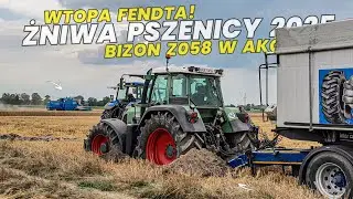 ☆Fendt Zakopany Po Rame!?☆Oporowe Żniwa Pszenicy 2025!☆Bizon Rekord Z058 W Akcji!?☆2x Fendt☆