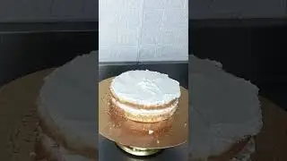 6kg 😱🥰 Animals cake design for customer's designs #cakedesind #shotsvideo #cakedecorating 