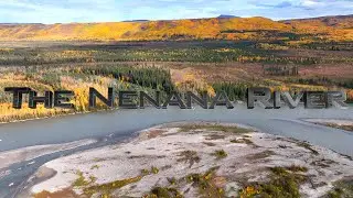 Fall Colors along the Nenana River