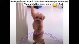 Moves #trending #food #music #ai #animals #anime #animation #dance #song #nature #beautiful #peace