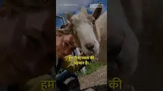 Mercy for animals ❤️🙏