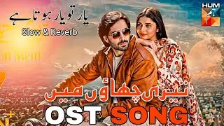 TERI CHAON MEIN OST | SLOW AND REVERB | ❤️&zwj;🩹NEW PAK DRAMAS 2024