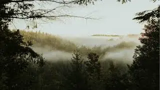Whisper of the Pines - Retro Soul Melodies (1960s Folk Rock / Acoustic Ballad)