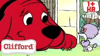 El Accidente del Regalo | Honestidad para Niños | Clifford | Scholastic Kids en Español