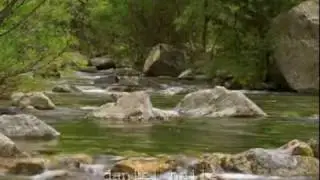 Eritrean instrumental music 01