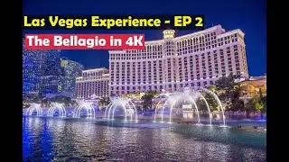 Las Vegas Experience - BELLAGIO