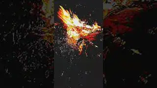 live | new video | nkcneeraj kumarchaurasia | neeraj kumar | nirajkumar