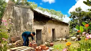 🏠 Renovating a rural house, making it my home#building#house