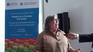 What role can businesses play to promote sustainable plastic use? Libby Bernick