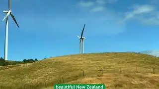 Beautiful New Zealand