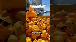 Win $5000 with just $5 for the Incredible Duck Race in Tampa