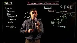 Sterols and Cholesterol