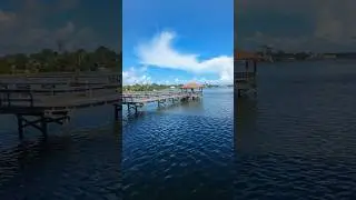 Exploring the Scenic Bailey Riverbridge Gardens & Walkway | Florida Hidden Gem