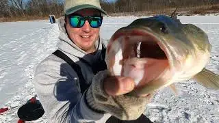Chicago Suburbs Hold GIANT Bass!! Ice Fishing for Huge Largemouth Bass