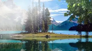 The charm of the forest/Очарование леса/ медитация, релаксация!