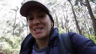 Tenterfield