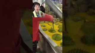 Tin tức mỗi ng&agrave;y #dongykieuphong #xuhuongreels #songkhoe247 #MrPhong #suckhoe #MrPhong