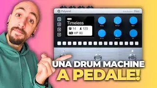 POLYEND STEP: THE PERFECT DRUM MACHINE FOR GUITARISTS ❤️