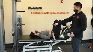 Knee: Fixated Hamstring