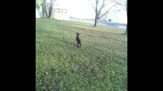 Video Leagoo Elite 4, DigiLidi.cz