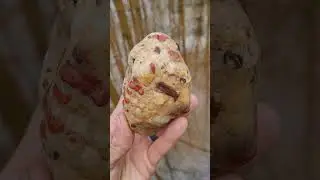 Best Puddingstone So Far This Year!