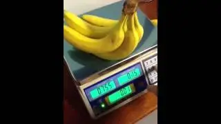 Positive Weighing's Excell FD110 Retail Scale