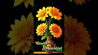 # Good 🌞 morning          use tamplate           nature short video