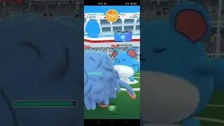 How to win Raid battle Marill #pokemongo