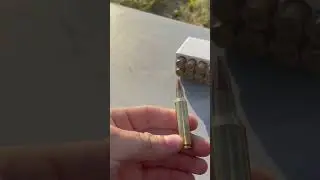 Ruger American Rifle 22-250