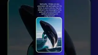The whale is a symbol of wisdom and spirituality.