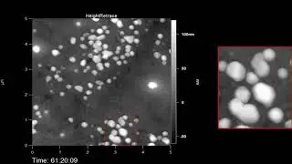 In situ AFM imaging of crystal growth.