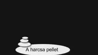 A harcsa pellet