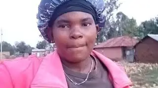  NOT EXPECTING THIS  FROM  MY FARM!  FINALLY  AM HAVESTING MY MAIZE 