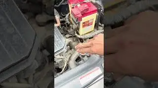 Maruti Swift petrol coolant check #youtubeshorts #mechanic #shortvideo #ressl #shorts #swift
