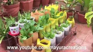 மாதிரி மாடித்தோட்டம்  Mayura Creations தோழி Sameem Erode