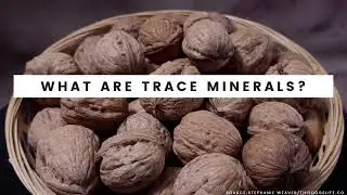 5 Essential Trace Minerals Every Dog Needs