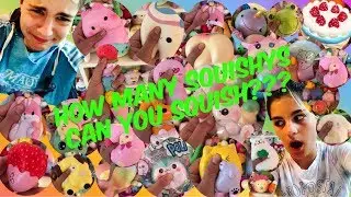 HOW MANY SQUISHYS CAN YOU SQUISH IN I MINUTE? SIBLING SQUISHY CHALLENGE TWIN EDITION!