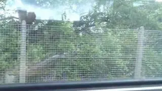 Nitshill Train Station to Priesthill & Darnley Train Station in Glasgow, Scotland